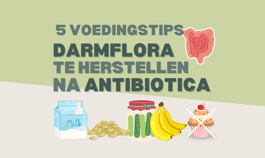 Voeding voor het herstel van de darmflora na een antibioticakuur